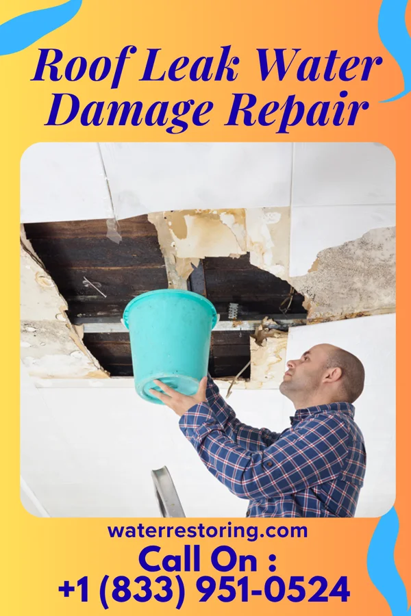 Roof Leak Water Damage Repair in St. Helen, MI